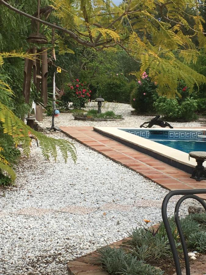 Finca El Rio,, La Casita One Of 2 Self Catering Studios. Pool And Hydrotherapy Jacuzzi Малага Екстериор снимка